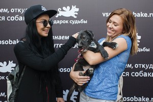 #Всемпособаке #Всемпособаке