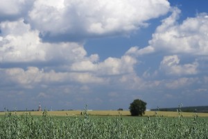 Городецкое Городецкое