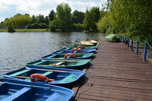 Большой Садовый (Академический) пруд