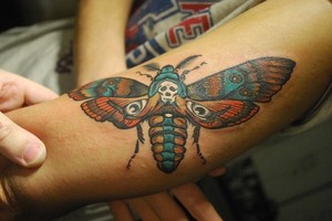 Lion Tattoo Studio