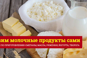 Практикум: кисломолочные продукты в домашних условиях Практикум: кисломолочные продукты в домашних условиях