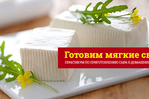 Мягкие сыры: филадельфия, страккино, рикотта. Мягкие сыры: филадельфия, страккино, рикотта.