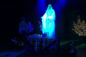 Снежная королева Снежная королева