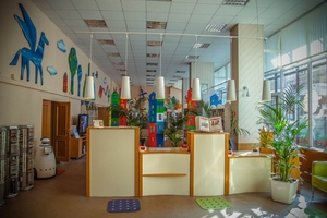 Центральная городская детская библиотека имени А.П. Гайдара