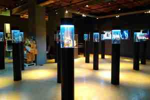 Namegallery Namegallery