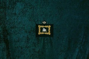 Тимур Новиков. Лебедь, часть II Тимур Новиков. Лебедь, часть II
