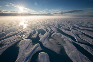 Тающая красота Тающая красота
