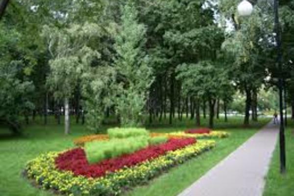 Чапаевский (Авиаторов)