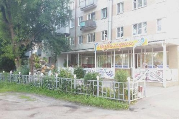 Дельфин