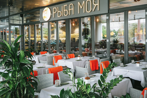 Рыба моя Рыба моя