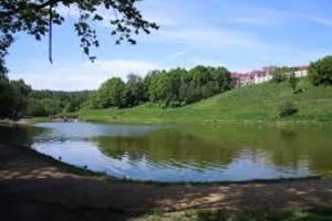 Новогорский Новогорский