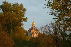 Алёшкинский лес