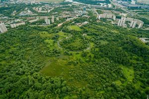 Сходненская чаша (ковш) Сходненская чаша (ковш)