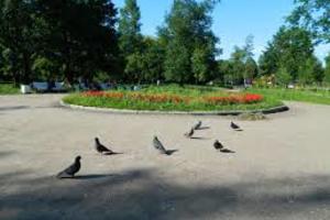 Выборгский сад Выборгский сад