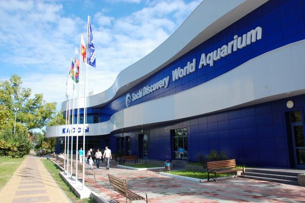 Sochi Discovery World Aquarium