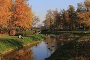 Куракина дача Куракина дача
