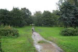 Куракина дача Куракина дача