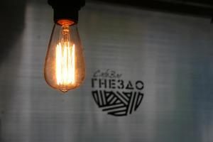 Гнездо