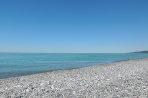 Прозрачный Прозрачный