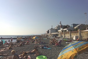 Фламинго Фламинго