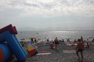 Фламинго Фламинго