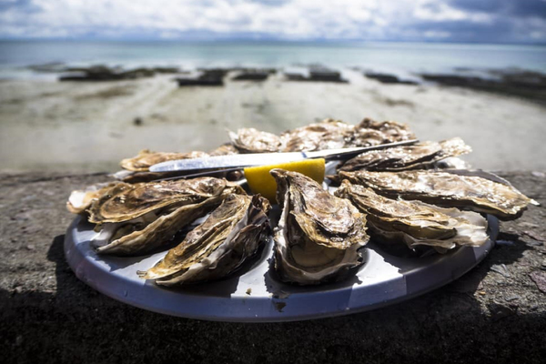  Shell, Yes seafood bar