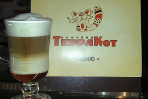 Терракот Терракот