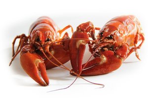 Раки 23 на Каспийской Раки 23 на Каспийской