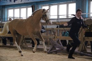 Конный клуб "Созидатель"
