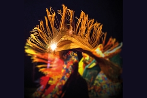 Iris. Flamenco Iris. Flamenco
