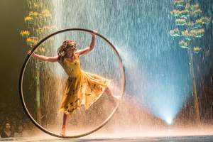 Cirque du Soleil. Luzia