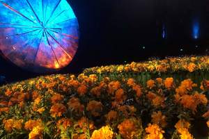 Cirque du Soleil. Luzia