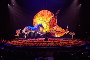 Cirque du Soleil. Luzia