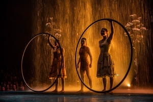 Cirque du Soleil. Luzia