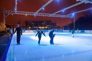 The Rink
