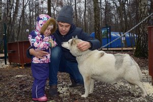 Хаски-парк «Большое приключение»