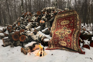 Тайная жизнь ковра-самолета Тайная жизнь ковра-самолета