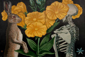 Игорь Баранов. Herbarium