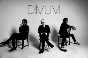 Dimlim