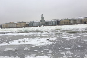 Кошачий Петербург, или Приключения кота Тимофея