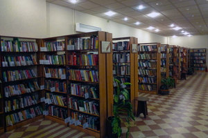 Библиотека № 225