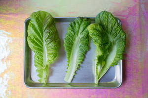 Парник