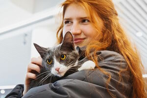 Котики, которые любят Котики, которые любят