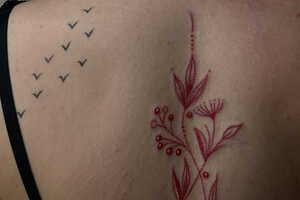 Sexyskin Sexyskin