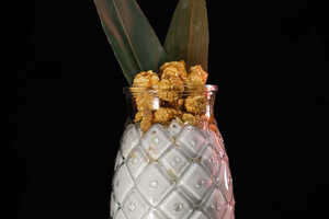 Lounge Bar Nuggle