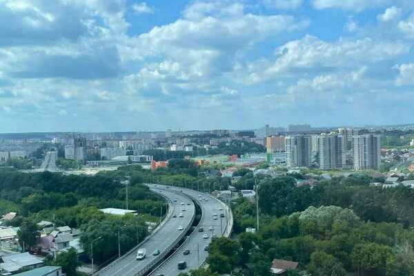 Прогулка с друзьями