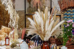 Holy Cat