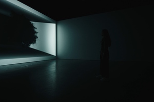 Inside Inside