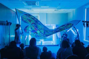 Бама