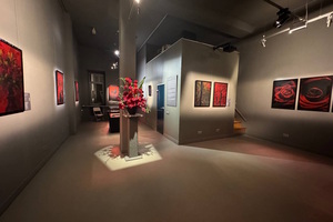 Sneg Gallery